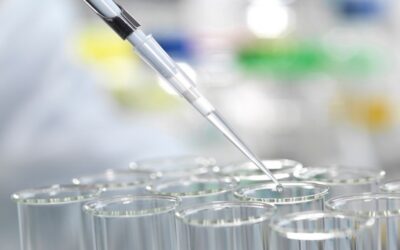 Plastics & Chemicals – 1H 2026 Industry Update