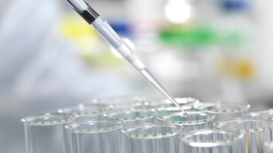 Plastics & Chemicals – 1H 2026 Industry Update